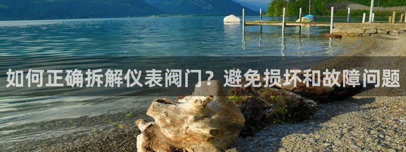 九游会国际直营