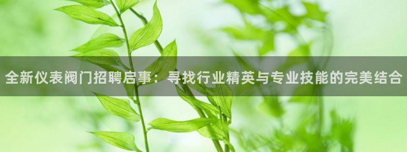 亚游停运转九游会