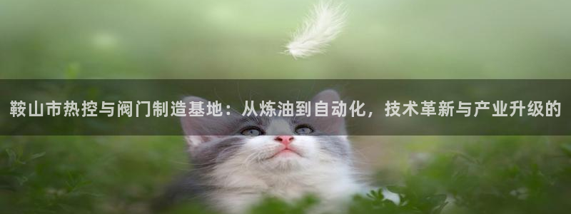 九游会外网