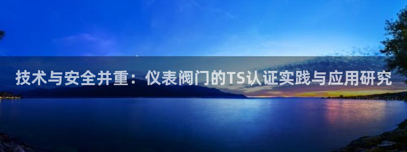 新版九游会