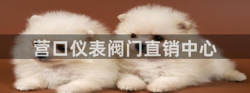 九游会官网直营店