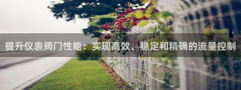 ga九游会