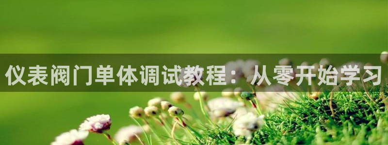 九游会usdt