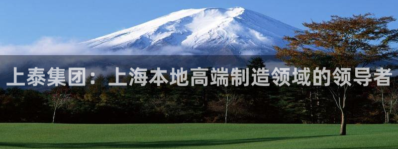 亚游游戏九游会