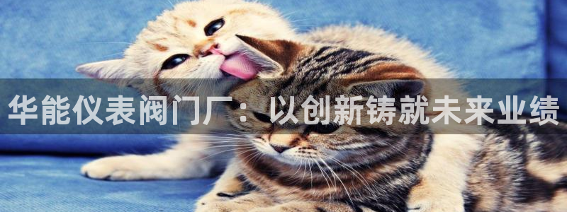 莉莉斯园游会九游