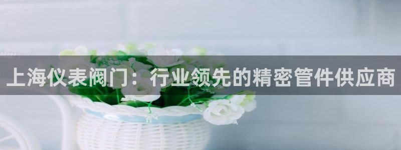 九游会官网网站入口