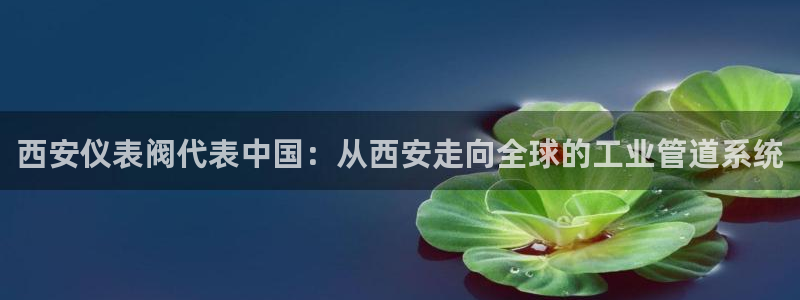 九游会黑网投诉吗