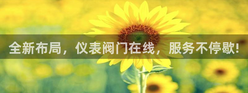 九游官网网页版九游会