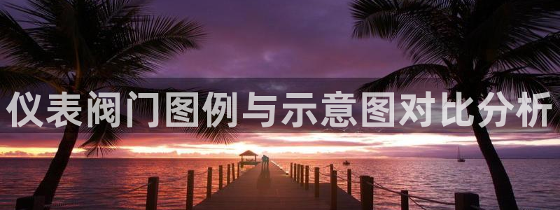 九游会a g