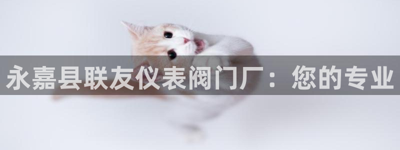 九游会ag网站