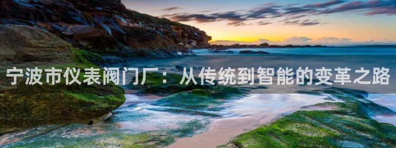 j9九游会老哥