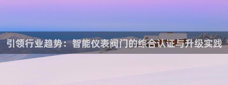 九游会亚洲公司