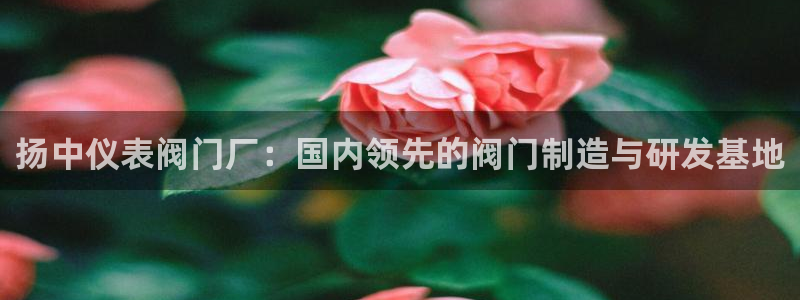 九游会手机端