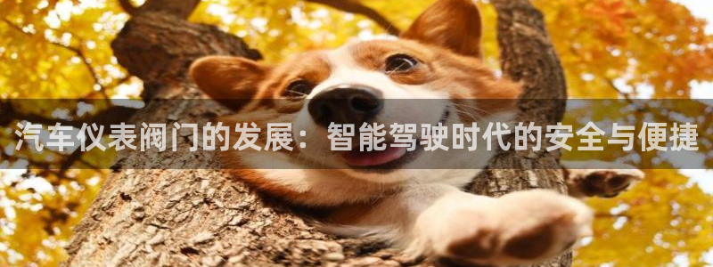 九游会入口