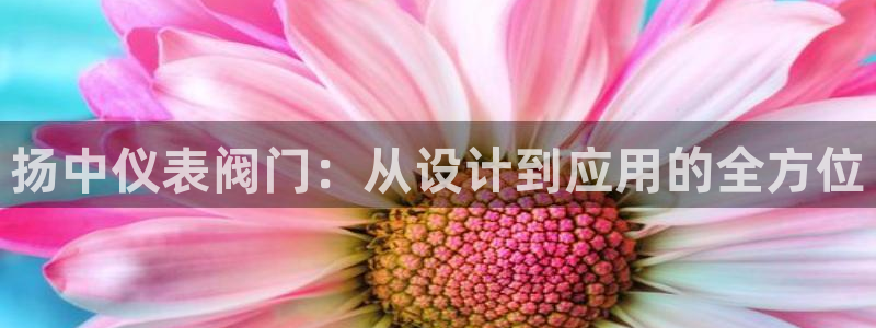 j9九游会提款稳定吗