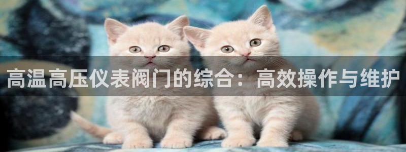 u九游会