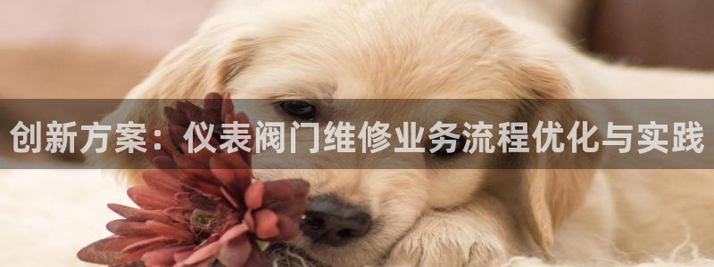 ag九游会网点