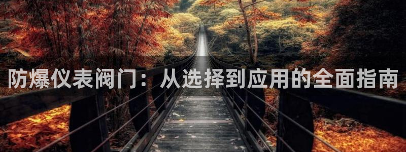 j9数字货币九游会备用