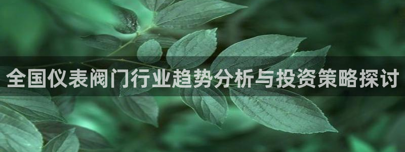 九游会视讯厅
