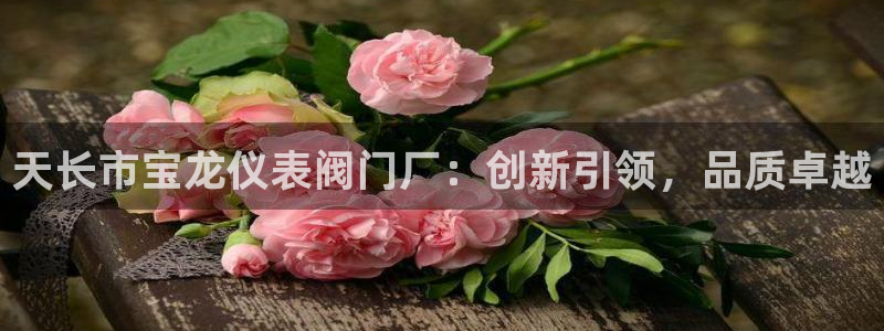 九游会网址平台怎么样