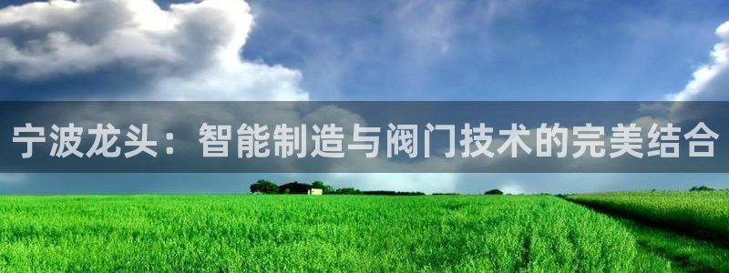 亚游停运转九游会