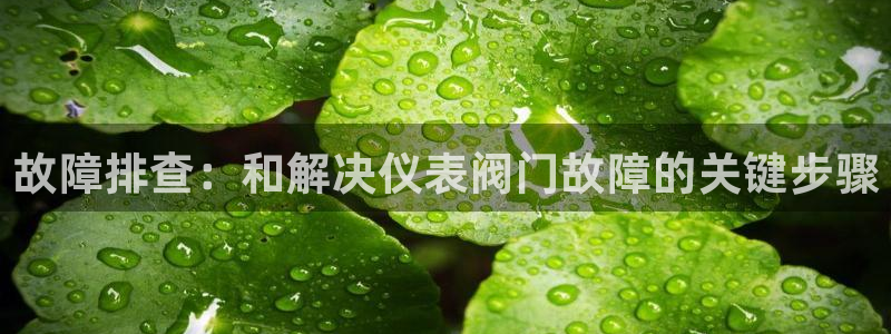 河曲灯游会九门的寓意