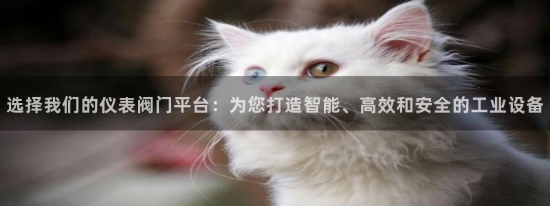 九游会旧版网址