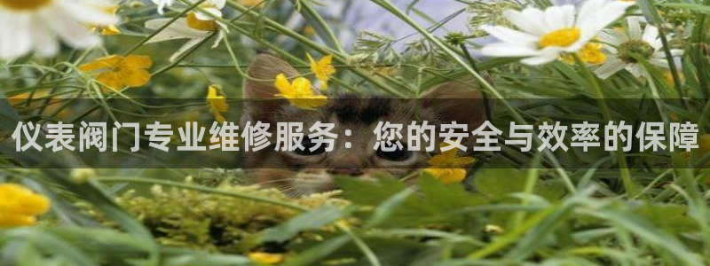 九游会数字货币