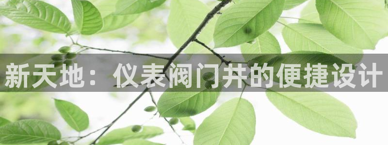 九游会直营厅网站