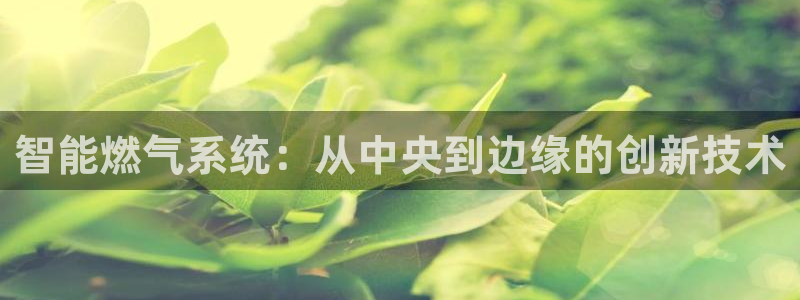 九游会ag官方网站