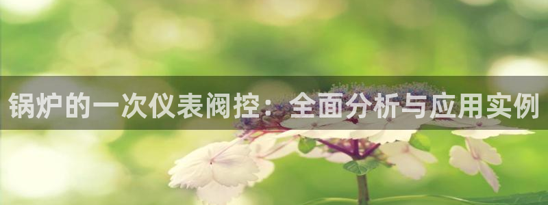 九游会网页版登录入口