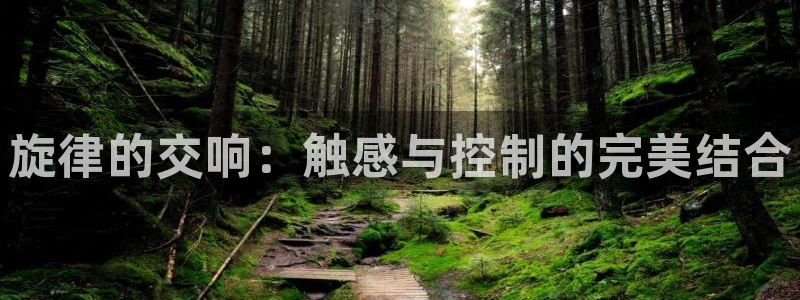 九游会体育app下载