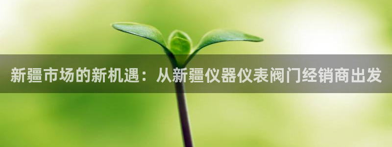 九游会公司介绍