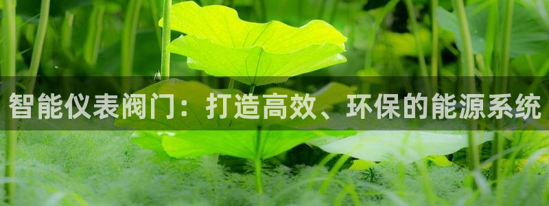 九游会手机登陆吗