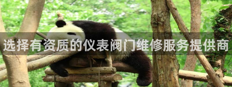 j9九游会手机版