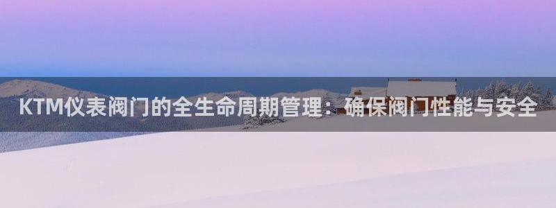 轩辕传奇手游九州摘星会