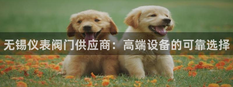 九游会登录体育