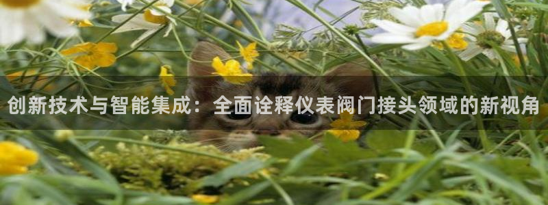 九游会真人官网