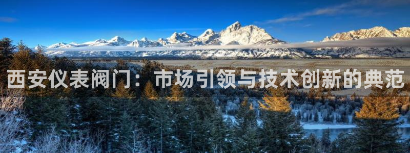 九游会平台是不是废了