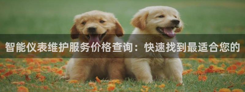 九曲黄河灯游会磁县地址