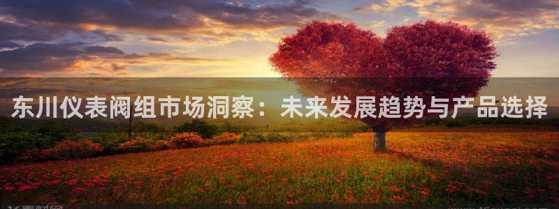 九游会最新线路